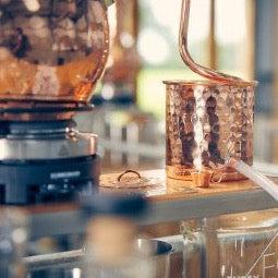 Gin School Experience